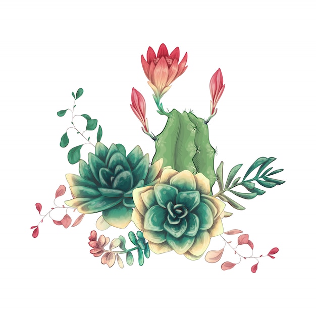 Card with cactuses and succulents set