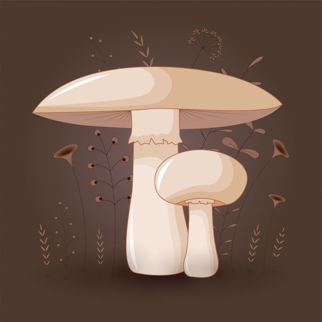 Card with mushrooms champignon on a floral background