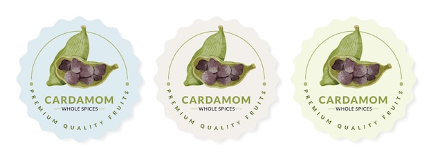 Cardamom packaging design templates, watercolour style vector illustration.