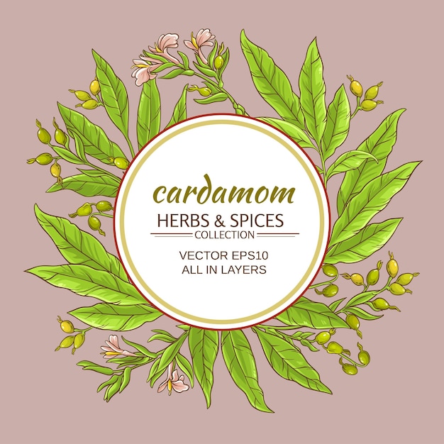 Cardamom vector frame