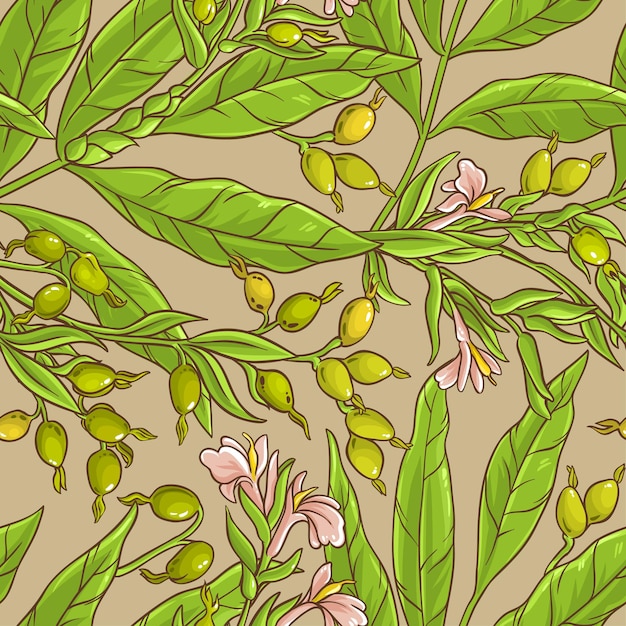 Cardamom vector pattern