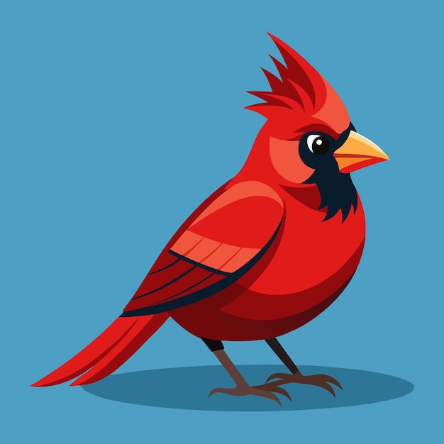 Cardinal Bird Clip Art Vector Illustration Design