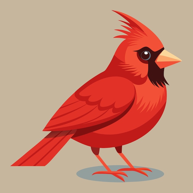 Cardinal Bird Clip Art Vector Illustration Design