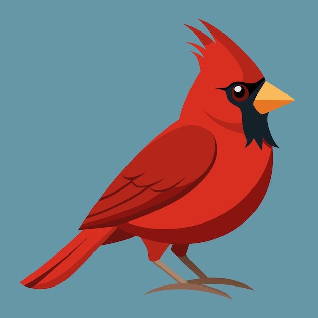 Cardinal Bird Clip Art Vector Illustration Design