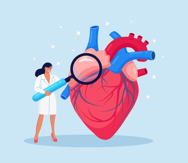 Cardiology. Check up of Heart Health and Cardiovascular Pressure. Cardiologist Studying Human Organ with Magnifying Glass. Circulatory System Complications, Ischemic Heart, Coronary Artery Disease