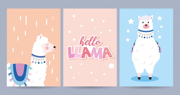 Cards set with llama