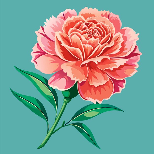 Carnation engraved vector illustration