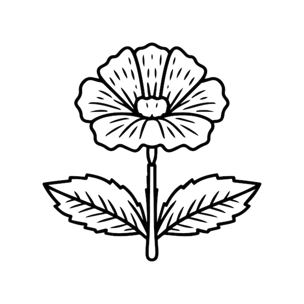 Carnation flower coloring pages Carnation flower outline vector