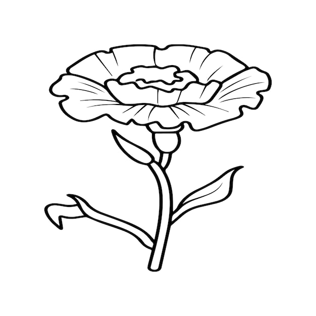 Carnation flower coloring pages Carnation flower outline vector