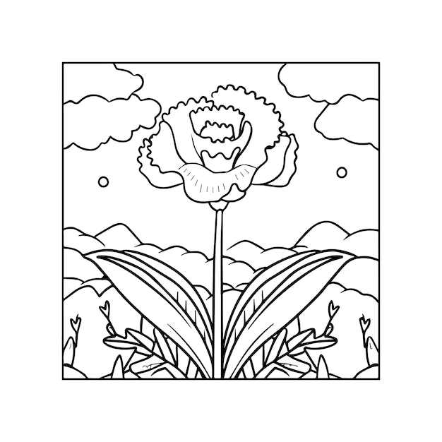 Carnation flower coloring pages Carnation flower outline vector