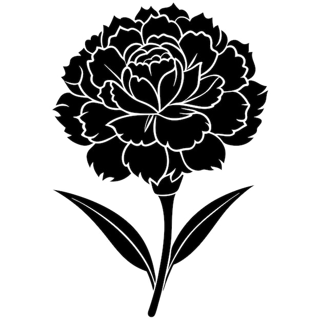 carnation flower silhouette vector illustration