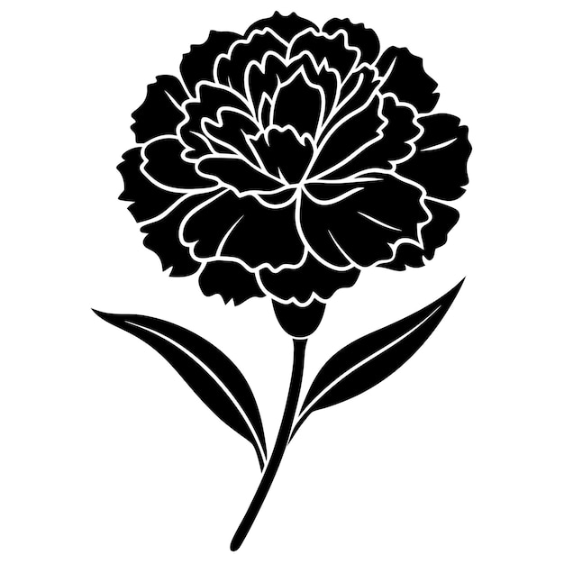 Vector carnation flower silhouette vector illustration