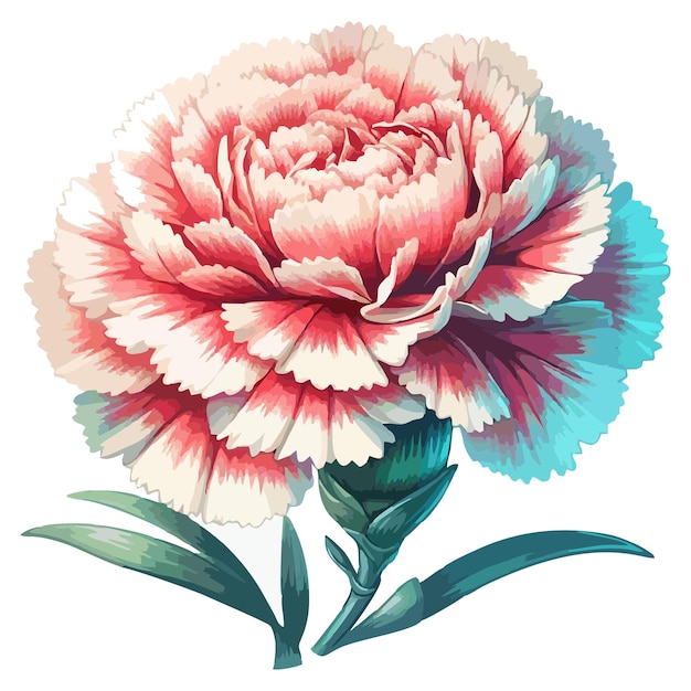 Carnation flower vector 8