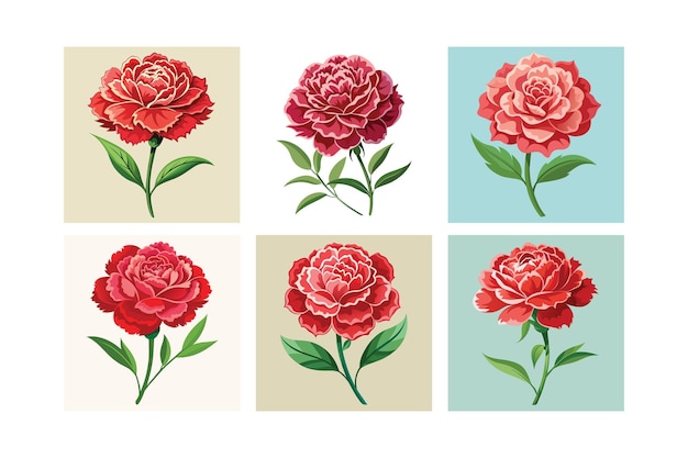 Carnation flower vector art illustration set isolated on various background