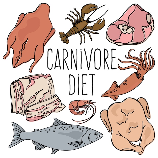 CARNIVORE DIET Organic Healthy Food 