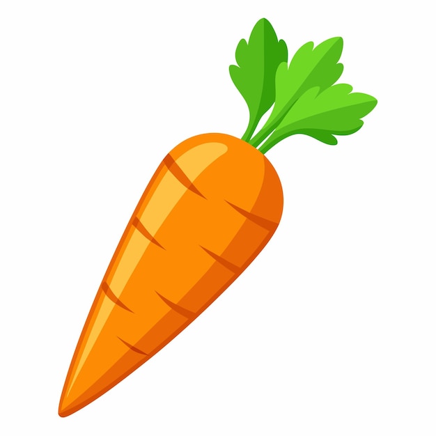 carrot clipart cartoon style vector illustration