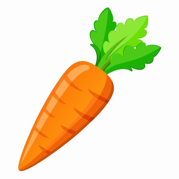 carrot clipart cartoon style vector illustration