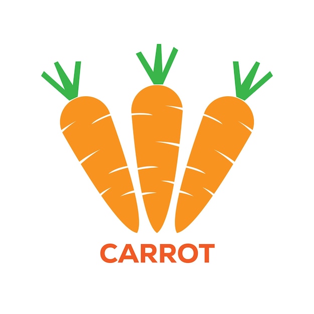 Carrot Colorful Unique Logo Design