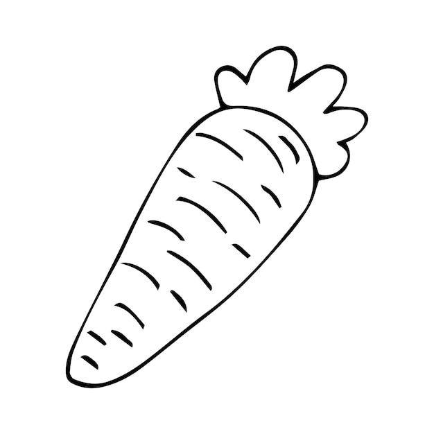 carrot doodle icon vector