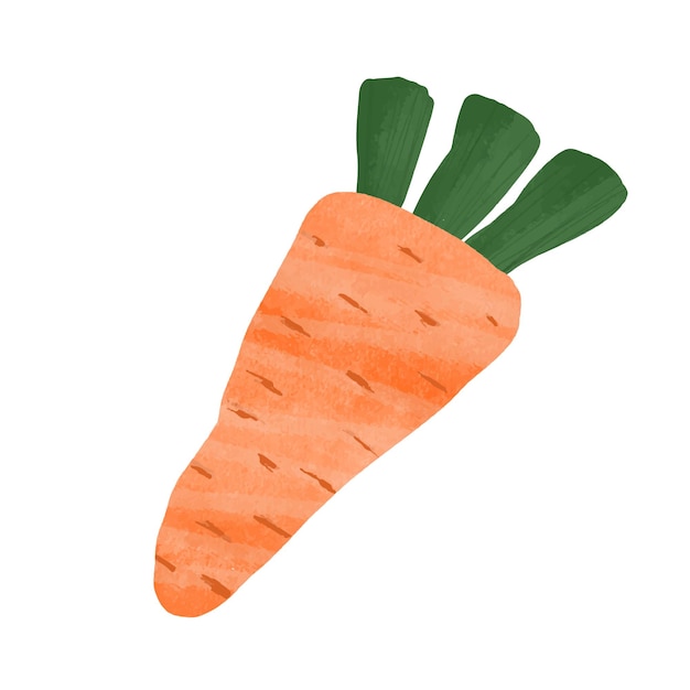 Carrot fresh green hand drawn Organic vegetable Healthy diet vegetarian food