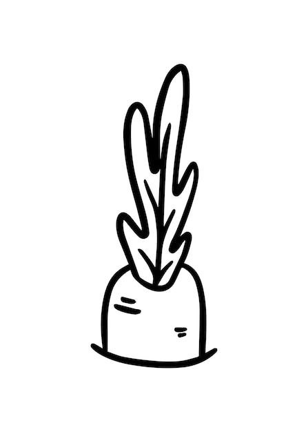 Carrot growing from the ground with greens harvest vegetable garden vegetable food doodle linear