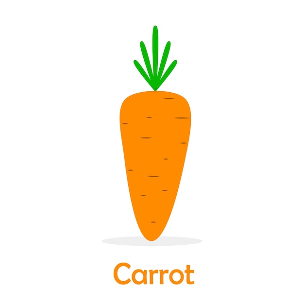 Carrot icon Vector illustration