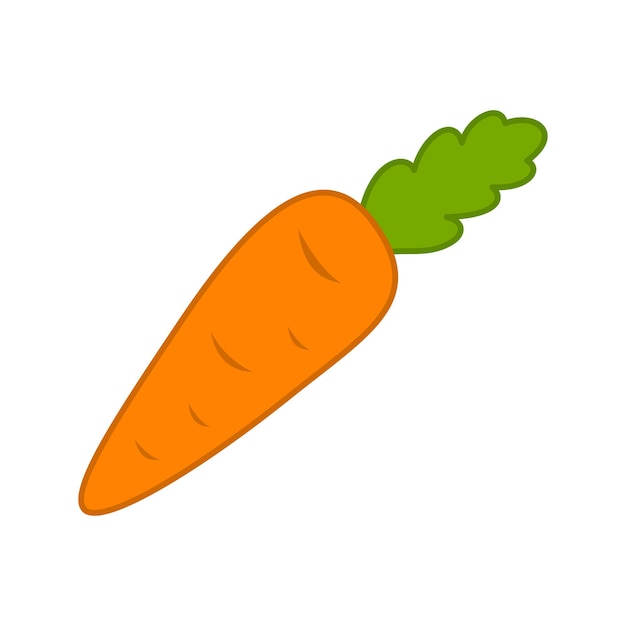 Carrot isolated on white background Vector illustration