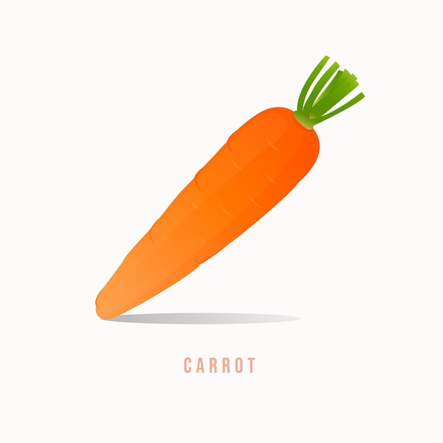 Carrot Modern style vector illustration