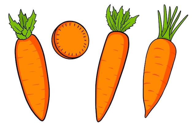 Carrot set Fresh carrots and slices In a cartoon style Vector illustration for design and decoration