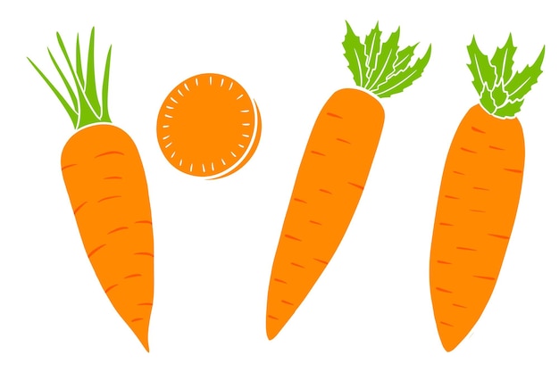 Carrot set Fresh carrots and slices In a cartoon style