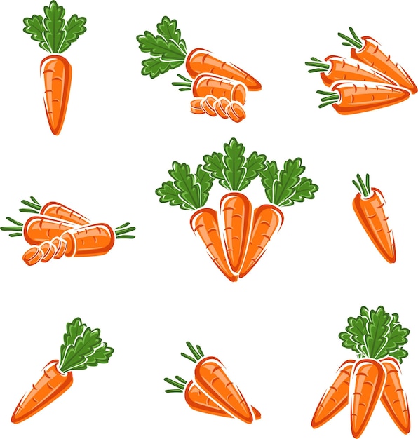 Carrot set Vector