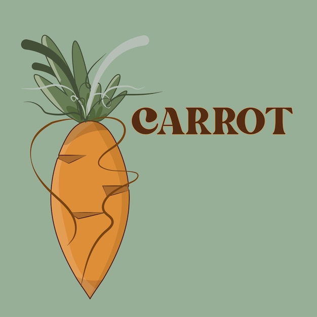 Vector carrot vector isolated