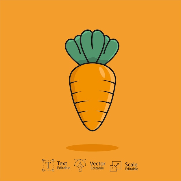 Carrot vector