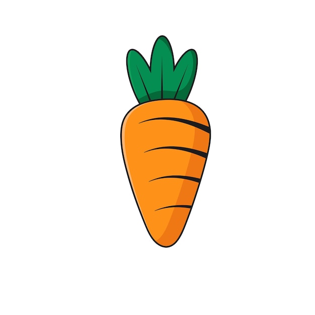 Carrot vegetable illustration