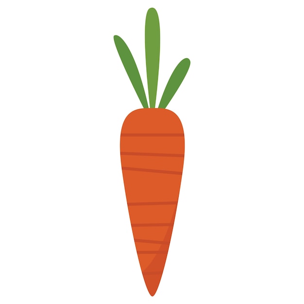 Vector carrot with green stem