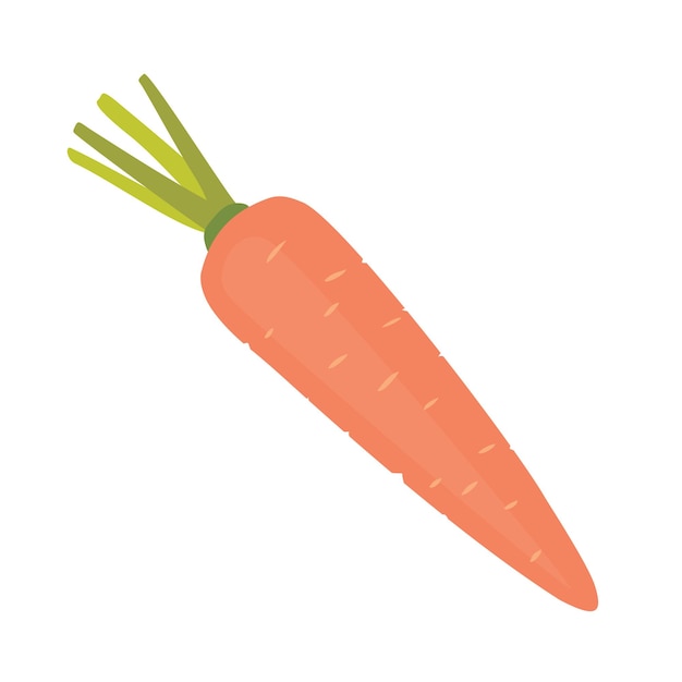 CARROT