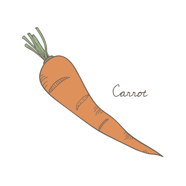 a carrot