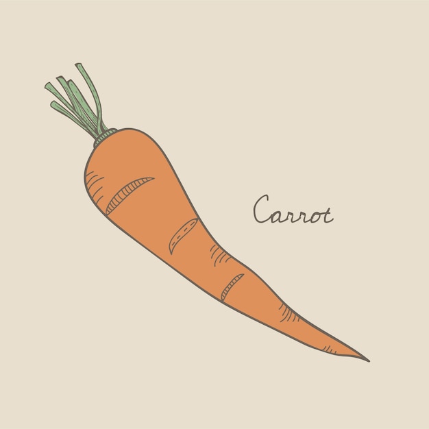  a carrot