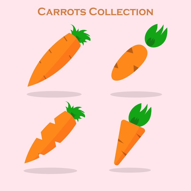 Carrots collection vector design or logo illustration suitable for design pattern etc