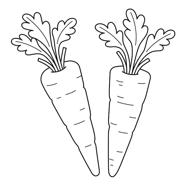 Carrots Vegetable Isolated Coloring Page for Kids