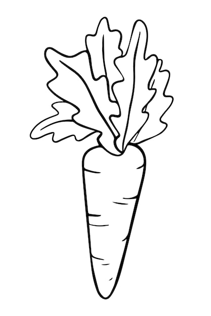 Carrots with greens doodle linear