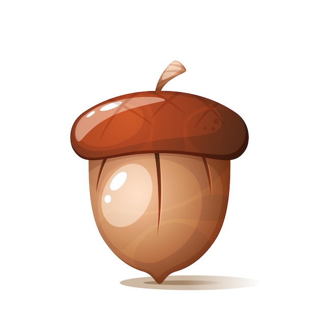 Cartoon acorn