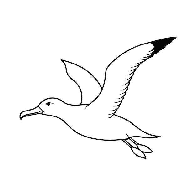 Vector cartoon albatross flying flat vector