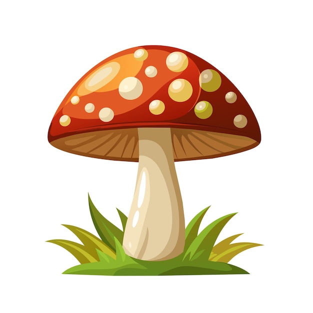 Cartoon Amanita muscaria fly agaric mushroom icon Wild forest mushrooms in autumn