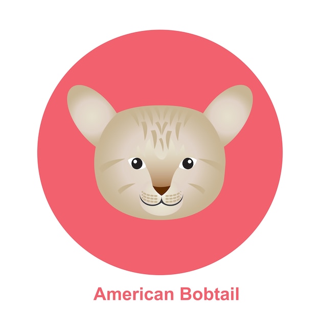 Cartoon American Bob Tail Cat in Circle Vector Illustration