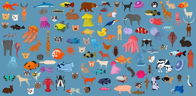 Cartoon animal set and zoo wild mammal icon Nature wildlife isolated and collection symbol