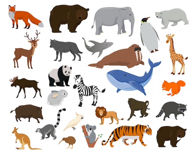 Cartoon animals. Big collection sea animals, wild animals