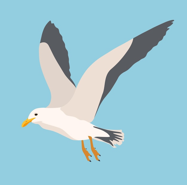 Vector cartoon atlantic seabird, seagulls flying. sea, ocean, gull, bird in a vector