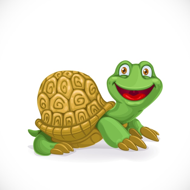 Cartoon baby turtle isolated on white background