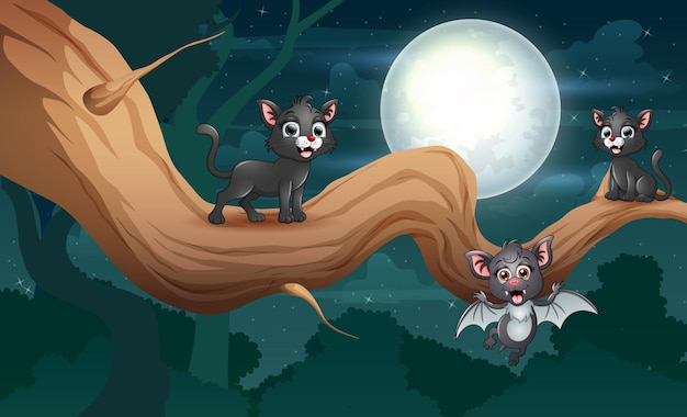 Cartoon a bat and black cats on tree at night